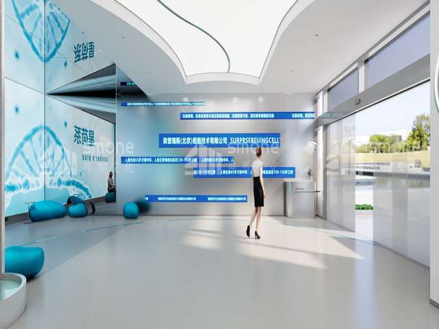 贵州塑料纸碗批发公司